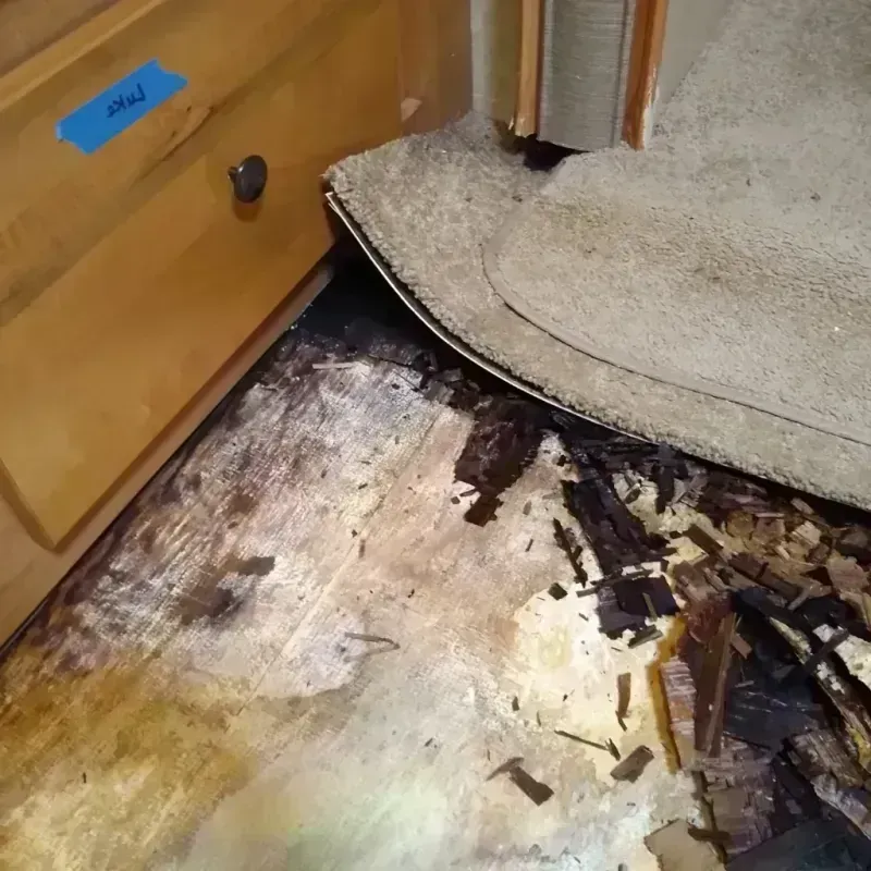 Best Wood Floor Water Damage Service in Verona, NJ